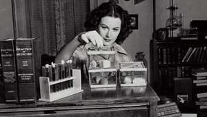 Hedy Lamar working on scientific experimentation.